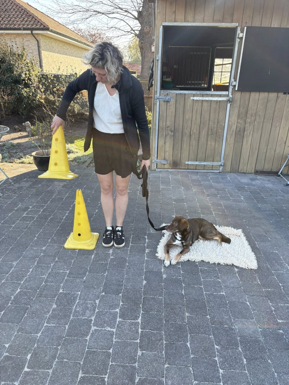 Puppy-plus cursus (6 lessen)