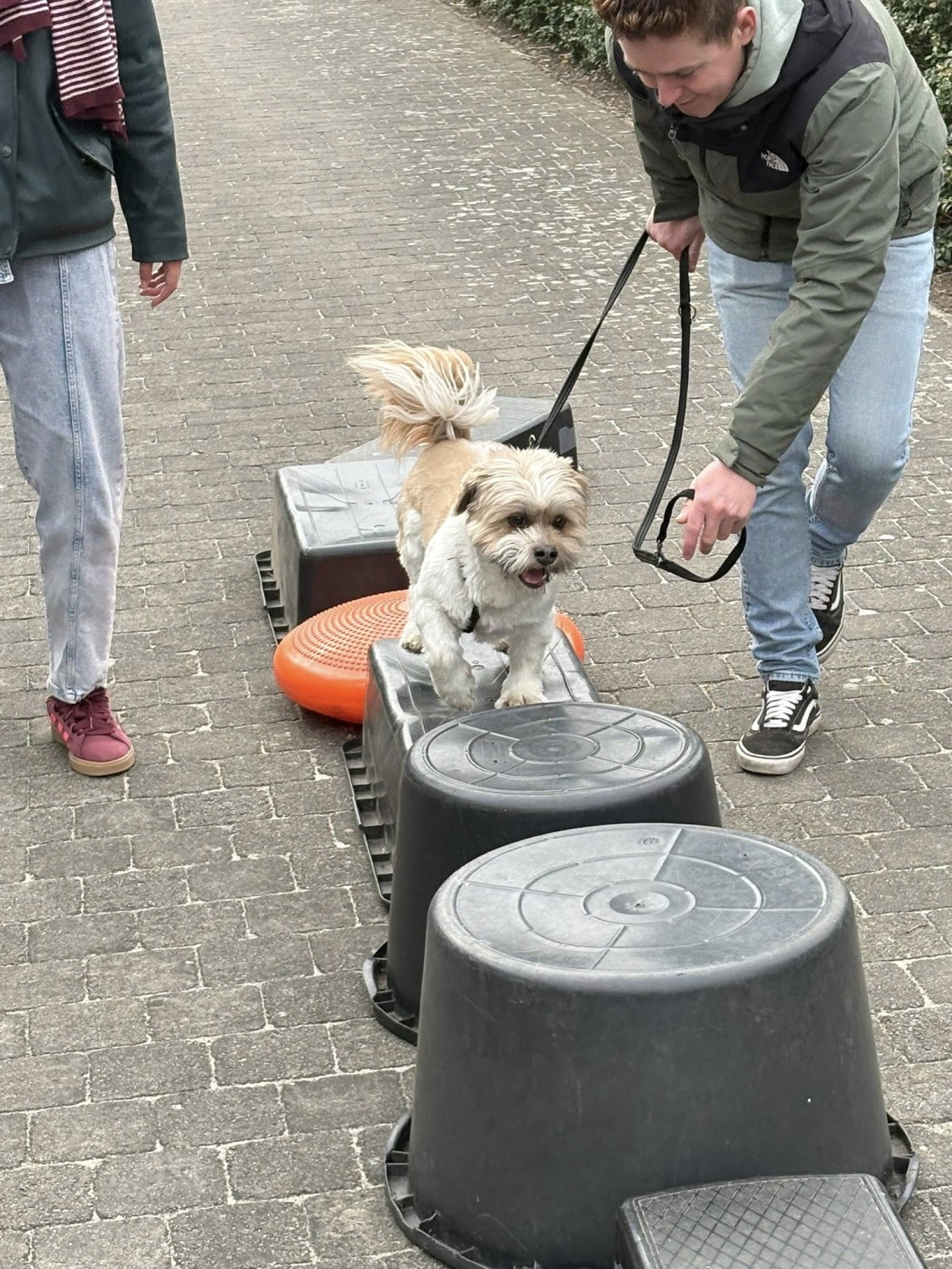 Zomerfun: honden-festival (vanaf 1 jaar)